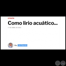 COMO LIRIO ACUÁTICO... - Por LUIS BAREIRO - Domingo, 17 de Abril de 2022